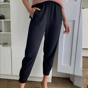 Aritzia Babaton Dexter Pant